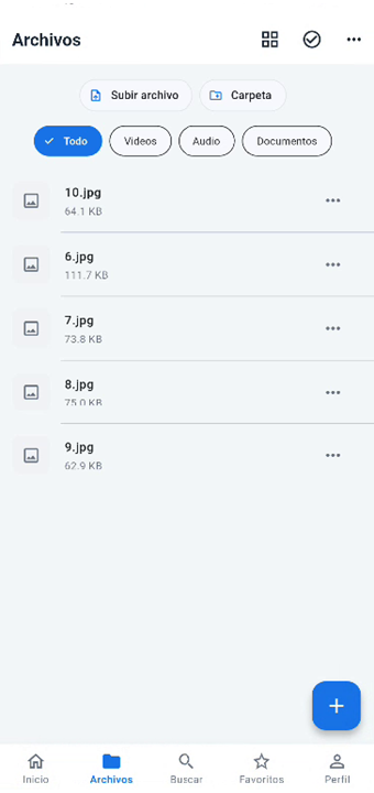 Flutter archivos